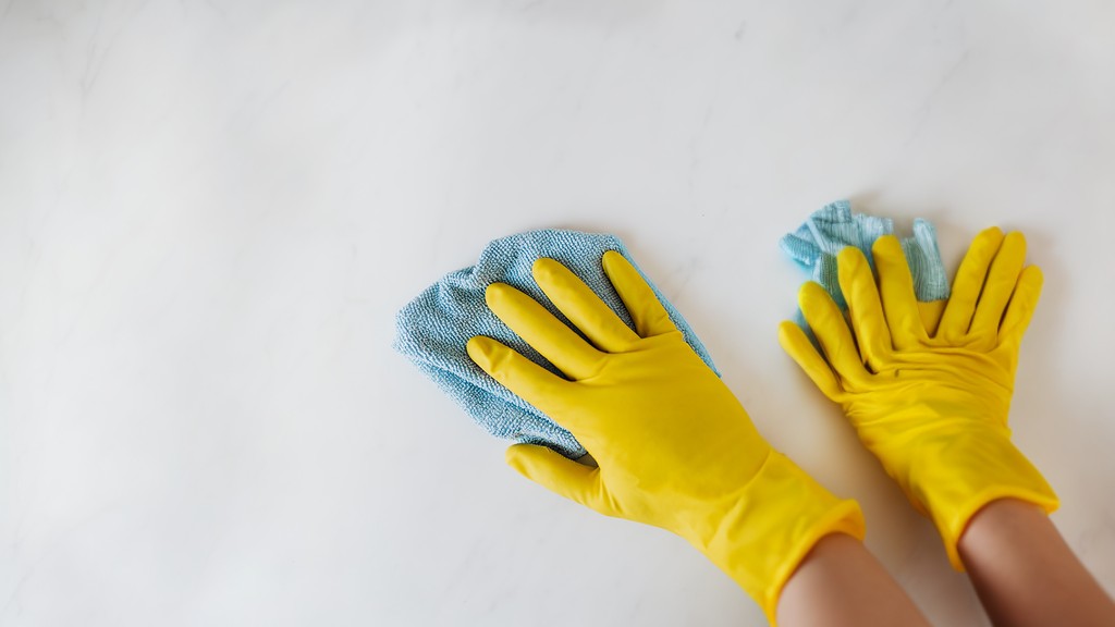 Cleaning Glove